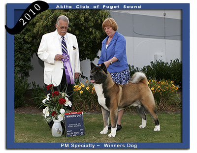 ACPS PM  Winners Dog